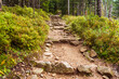stone path in the forest Tatra National Park, Zakopane Poland. Kasprowy Wierch