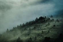 Aerial View Of Foggy Forest During Morning Mist In Bosnia And Herzegovina.
