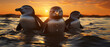 Pinguine im Wasser am Kap der Guten Hoffnung