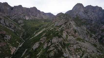 Wall Mural - Drone view of a green gorge with high rocky cliffs. A grey, bubbling river is running. The sky was overcast. Lots of big rocks and coniferous trees. Wildlife of Kazakhstan. Gorges of Burkhan Bulak