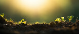 Fototapeta  - fertile soil close up against sunset background