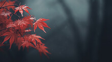 Red Japanese Maple Autumn Rainy Weather On Gray Blurred Background