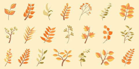 tree autumn branch collection with leaves. autumn tree branch for decoration. set of fall leaves, ma