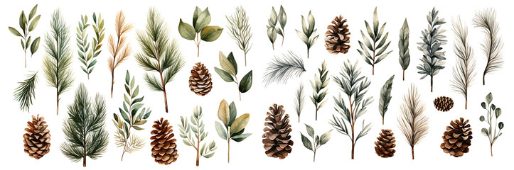 Set of Christmas Leaf Pine cone and branches decorate watercolor collection of hand drawn, Grapes elegant watercolor illustration , Christmas Leaf isolated transparent background, PNG