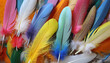 multi colored feathers closeup feather background texture abstract created using generative ai tools