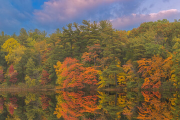 Wall Mural - Autumn landscape at dawn of the shoreline of Long Lake, Yankee Springs State Park, Michigan, USA