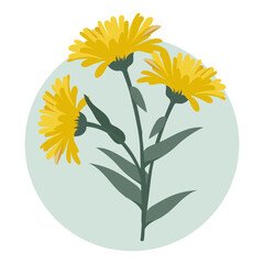 Wall Mural - Bouquet of yellow dandelion flowers. Botanical illustration, decor element, vector