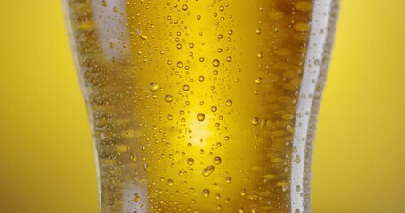 Wall Mural - Camera slowly rises up along a beer glass with light beer. There are a lot of condensation drops on the glass, beer foam on top. Yellow background.