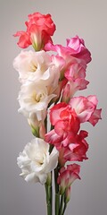 Poster - A vase filled with pink and white flowers. Perfect for adding a touch of color and freshness to any space.