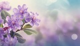 Fototapeta Kwiaty - Lavender flowers in the garden in pastel colors