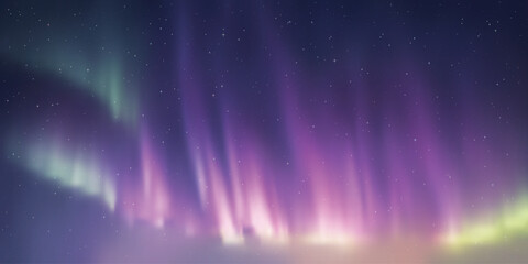 Wall Mural - polar lights, starry sky. northern landscapes. vector illustration.