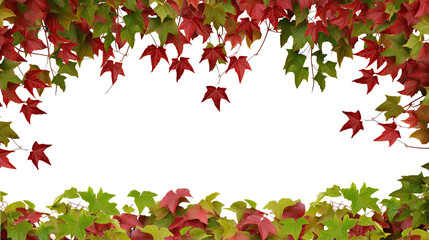 red autumn vine (virginia creeper, boston ivy, grapevine) frame foliage border with space for text, 