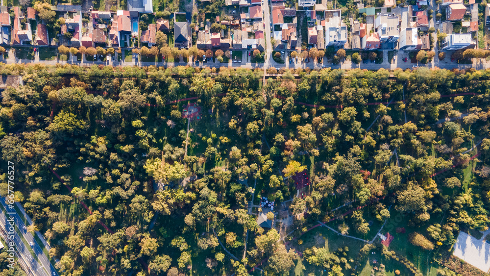 Aerial top view of spring park landscape with green trees, lawns and ...