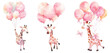 Pink cute little giraffe floating in the air with balloons. Baby girl Newborn or baptism invitation. children's book illustration style on transparent background