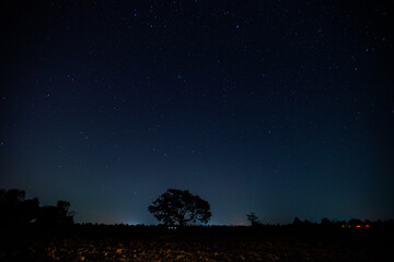 panorama blue night sky milky way and star on dark background.universe filled with stars, nebula and
