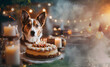 Perro festejando su cumpleaños, festejo con torta luces y velas.