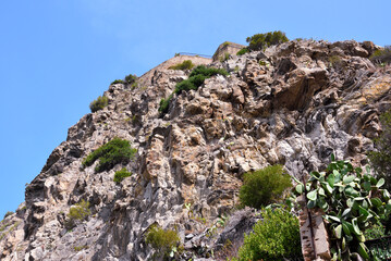 Wall Mural - hilly view with prickly pears from Scilla Calabria Italy