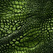 Reptilian Crocodile Textures Pattern