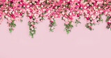 Fototapeta Kwiaty - beautiful spring background for a banner, postcards with flowers roses peonies. Pink floral background. 