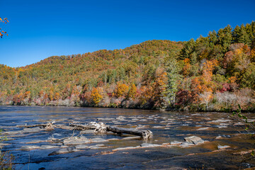 Wall Mural - autumn river