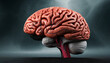 brain of the human body. 3d illustration