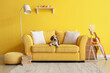 Cute beagle dog on yellow sofa in living room