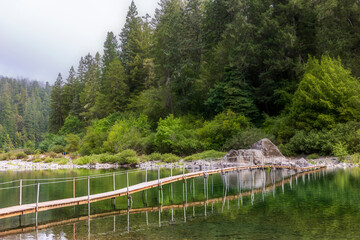 Wall Mural - clear and calm waters of Jedediah Smith river  in Jedediah Smith redwood state Park in Northern California 