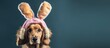 Shameful Golden Retriever Dog in bunny ears hiding
