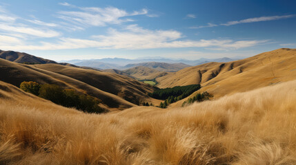 Poster - beautiful outdoor natural scenery