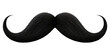 © LomaPari2021 - Black moustache isolated on isolated background generative ai