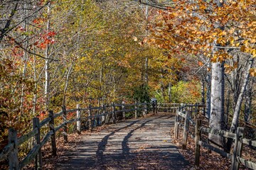 Wall Mural - autumn barn