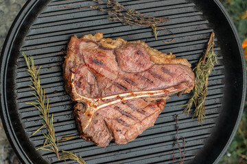 Wall Mural - Beef steaks on grill, food on bonfire, cooking in the hike, outdoor activities