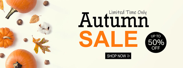 Wall Mural - Autumn sale banner with autumn pumpkins with leaves