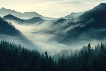 Wall Mural - Foggy morning in the Carpathian mountains, Ukraine, Photo realistic illustration of mountains forest fog morning mystic, AI Generated