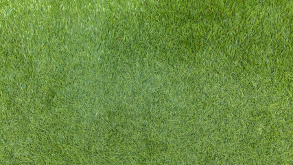 Wall Mural - green grass field synthetic artificial plastic grass texture floor background