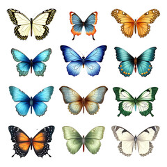 Wall Mural - Collection of beautiful butterflies on transparent background PNG