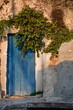 Stare niebieskie drzwi, otoczone bluszczem. Italy