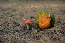 Green Halloween Pumpkin Next To An Amanita Mushroom