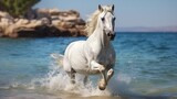 Fototapeta Konie - Arabic horse running syria sea animal style picture Ai generated art