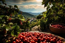 A Lush Coffee Plantation, Embodying A Peaceful, Warm, And Sunny Atmosphere. Wooden Bowls Filled With Red Unprocessed Coffee Beans. Generative Ai