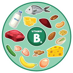 Poster - Group of Food and Vegetables Containing Vitamin B12