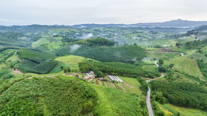 Wall Mural - fog on the valley of ban nam chuang phitsanulok province, thailand