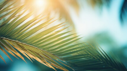 Poster - Tropical beach with palm leaf bokeh sun light and vintage filter Summer vacation and business travel concept