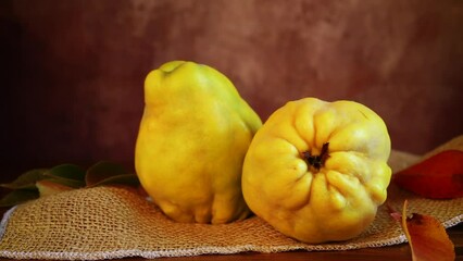 Wall Mural - Ripe natural autumn quince on a dark wooden table.