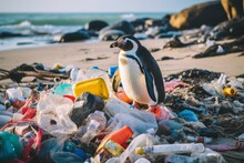 Penguin On The Beach With Garbage. Pollution Of The Earth