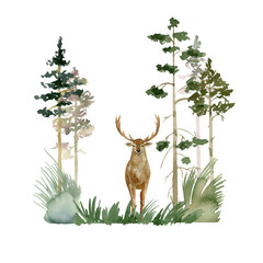  Watercolor forest with deer. Woodland composition.