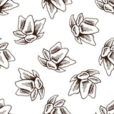 Fototapeta Boho - Seamless pattern of hand drawn magnolia. Monochrome flower doodle. Black and white vintage element. Vector sketch. Detailed retro style.