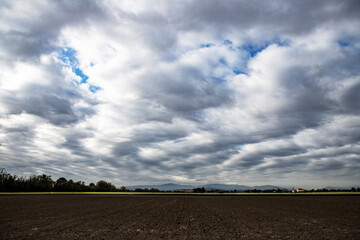 Wall Mural - plowed field and blue sky