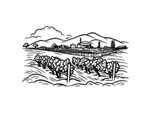 Vineyard Landscape Sketch. Hand-drawn Vintage Vector Illustration. Rows Of Vineyard Grape Plants And Winery Farmhouse On The Background In Graphic Style Landscape Engraving.	
