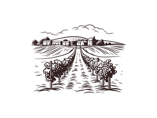 Wall Mural - Vineyard landscape sketch. Hand-drawn vintage vector illustration. Rows of vineyard grape plants and winery farmhouse on the background in graphic style landscape engraving.	